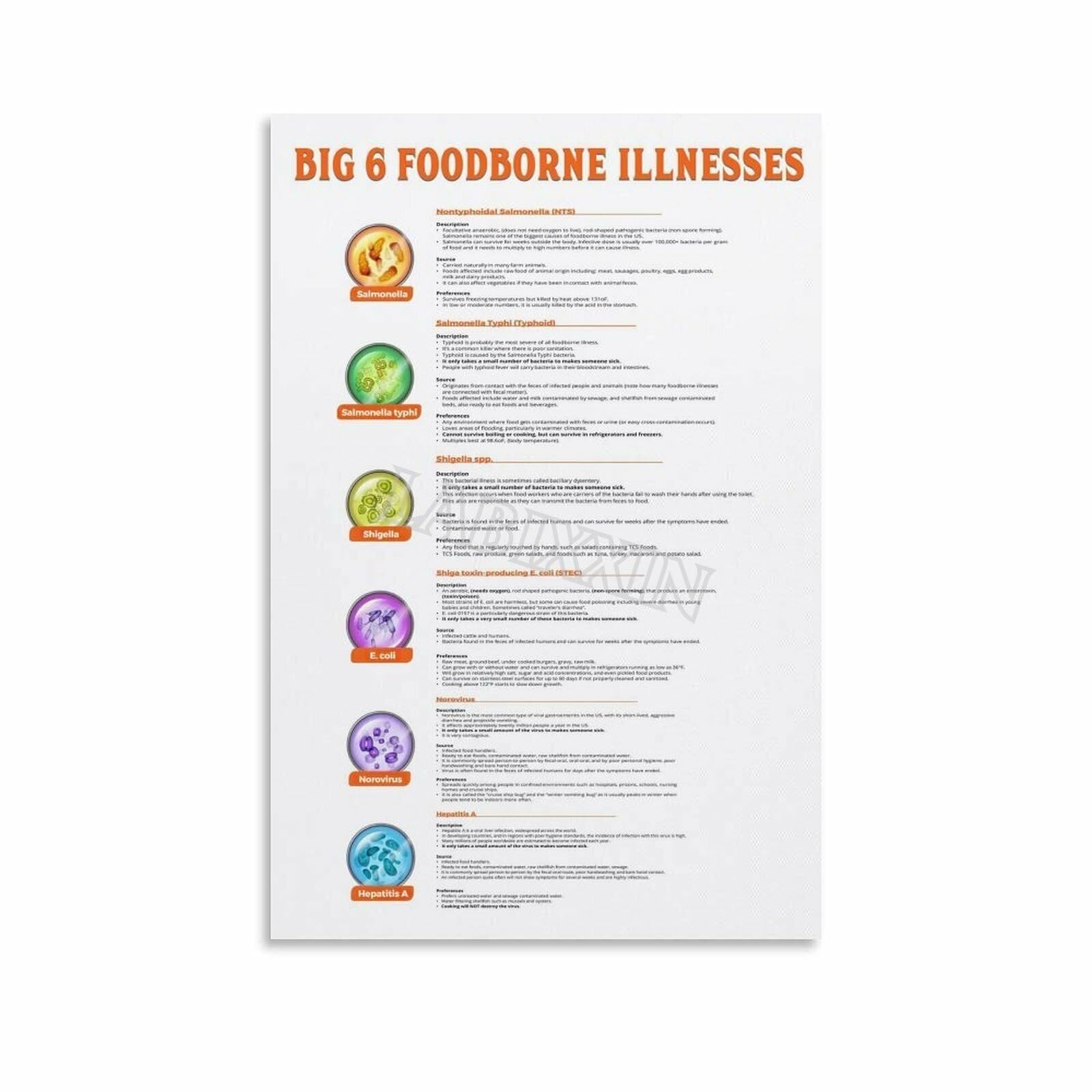 FOPURE Kitchen - Big 6 Foodborne Illnesses (Norovirus, E. coli, Salmonella) Guide for Employees - Educational Wall-Art for Food Service(Unframed,16x24inch(40x60cm))