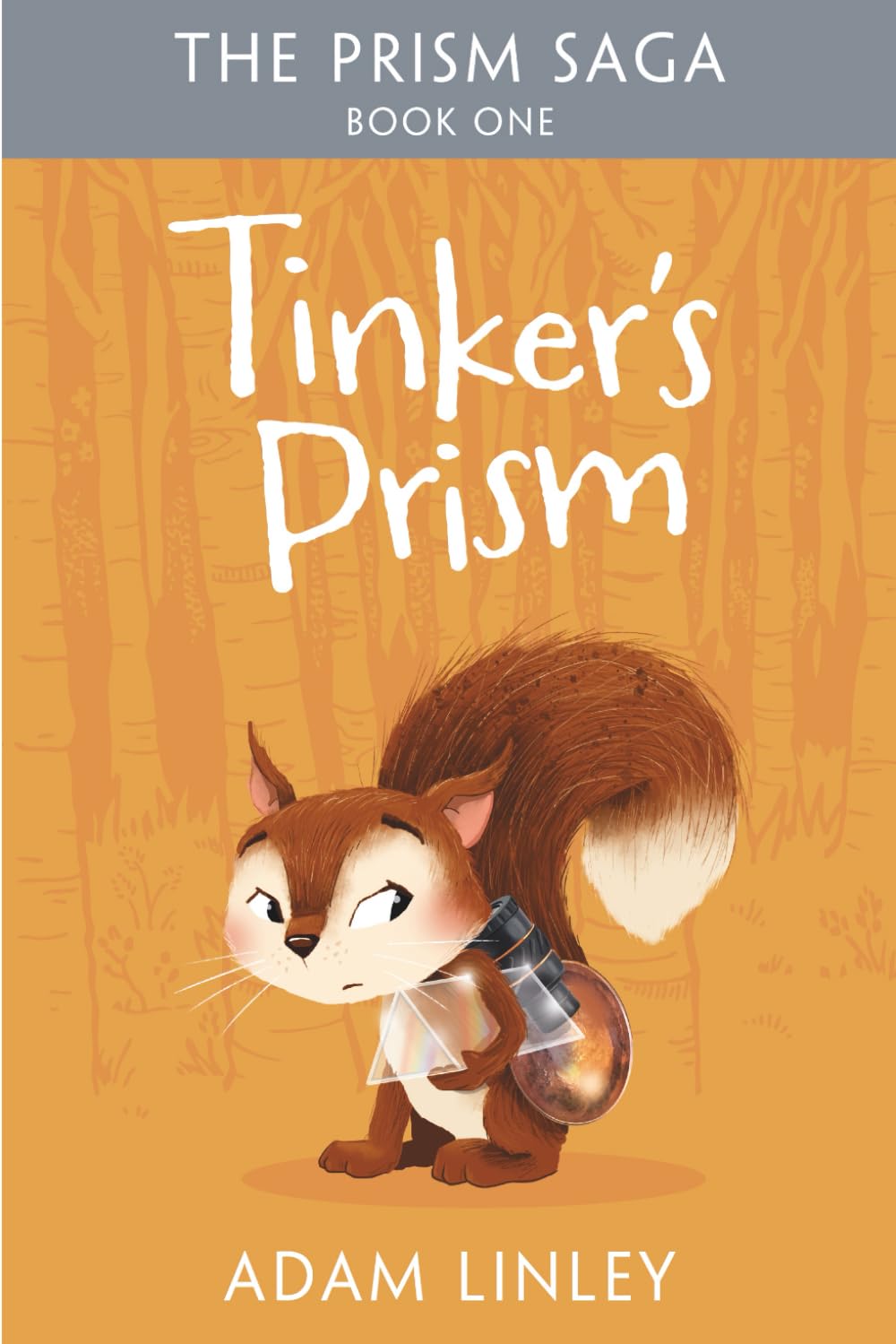 Tinker's Prism: The Prism Saga Book One