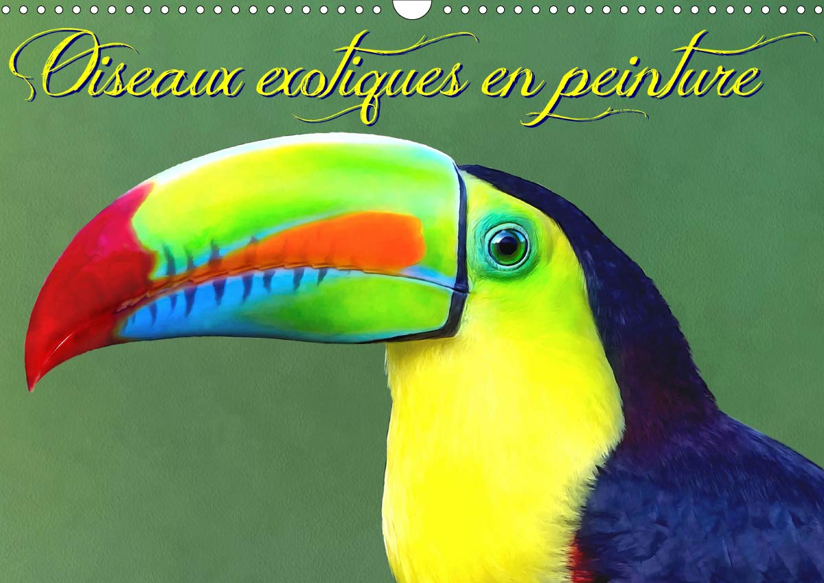 Oiseaux Exotiques En Peinture Calendrier Mural 2021 Din A3 Horizontal |  Desertcart Seychelles, image size:1200x849