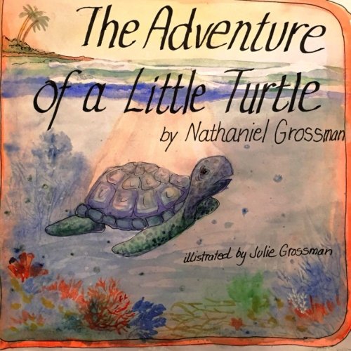 The Adventure of a Little Turtle