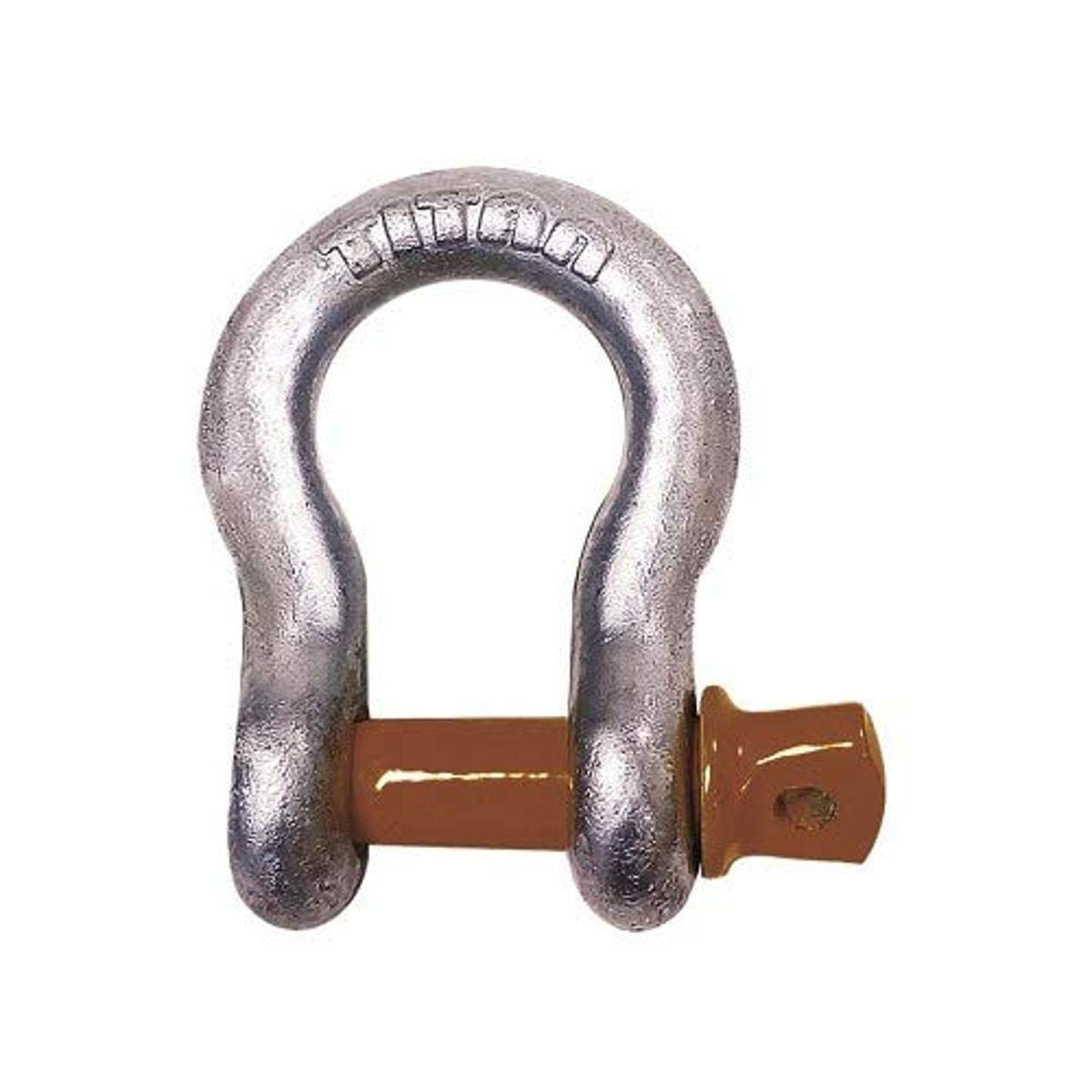 Bow Type Anchor Shackle Hot Dip Galvanized with Screw Pin