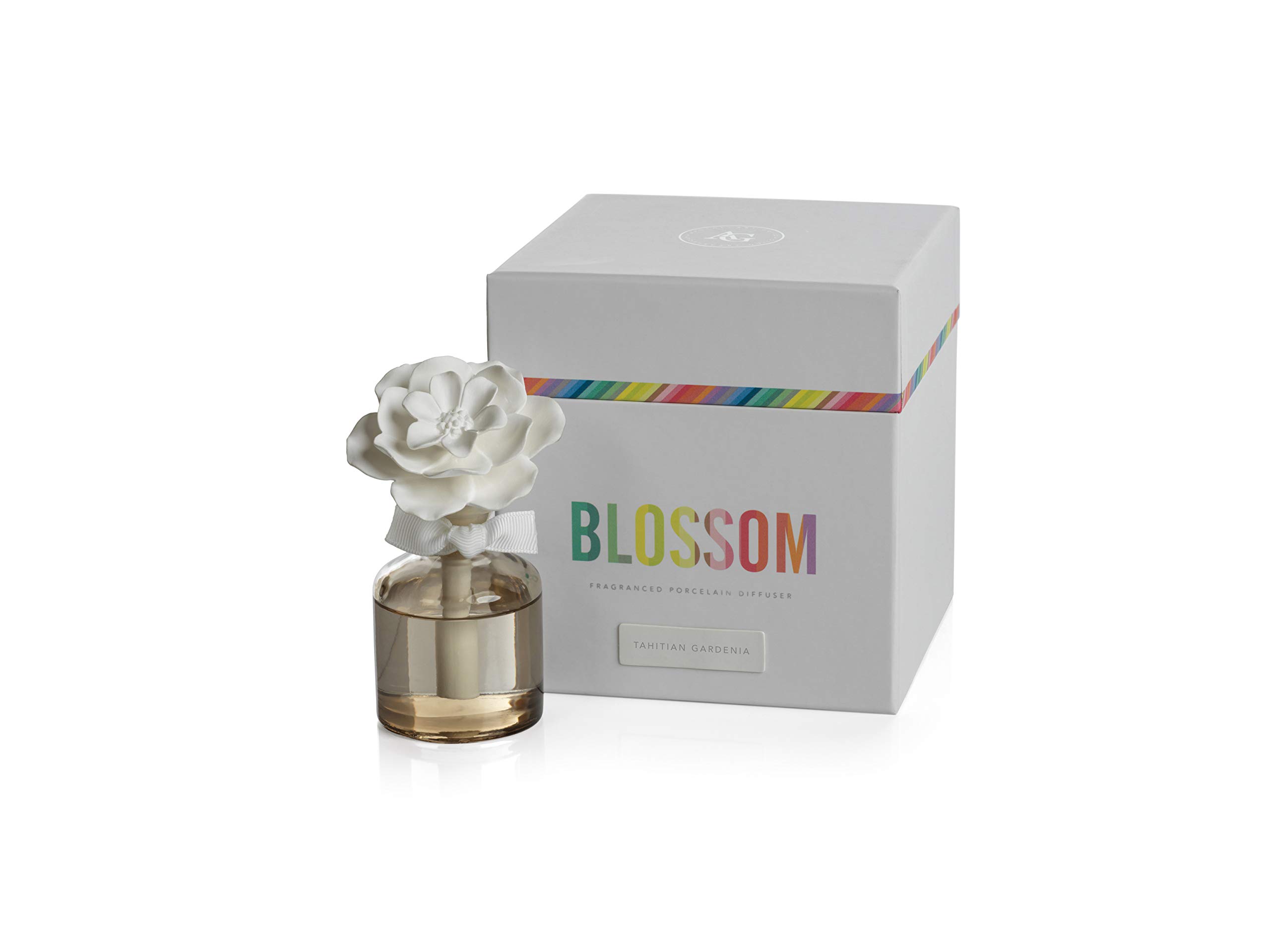 Amazon.com: Zodax Blossom Fragrance Diffuser Bottle Taupe White