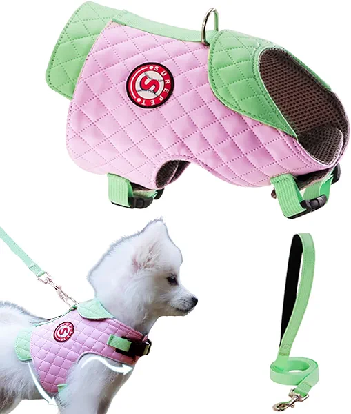 Dog Harness for Small Medium Dogs, No Pull Adjustable Puppy Harness and Leash Set Waterproof & Dirt-Resistant, Breathable Padded Vest Harness for Puppy