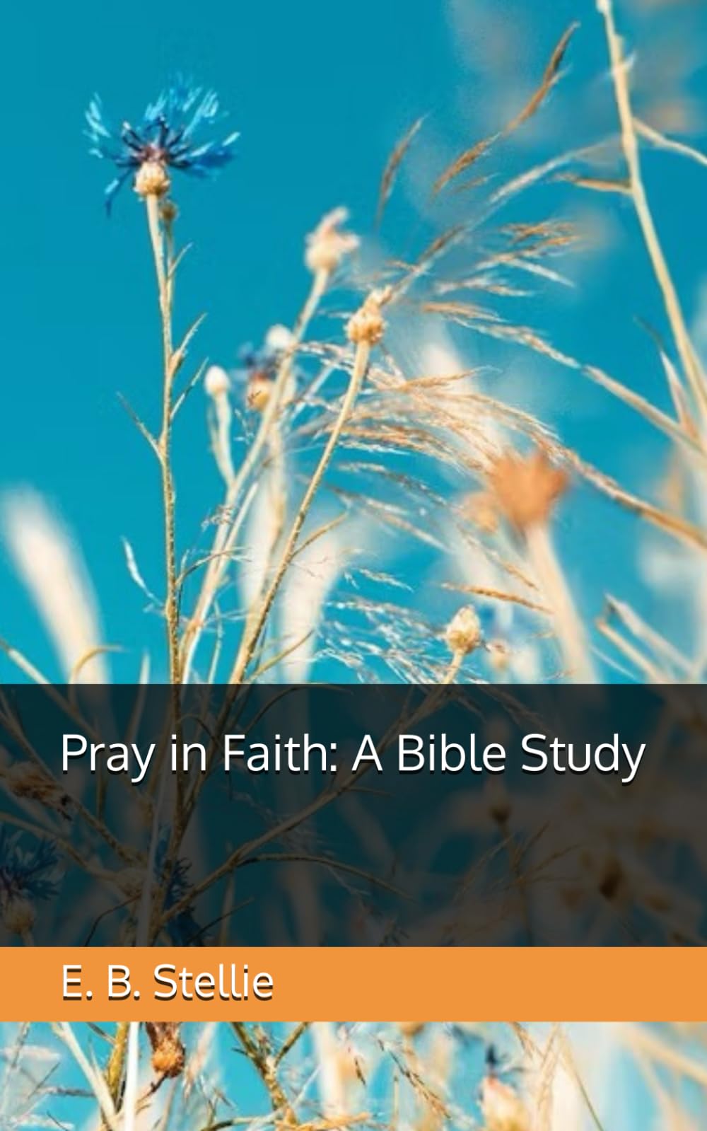 Pray in Faith: A Bible Study