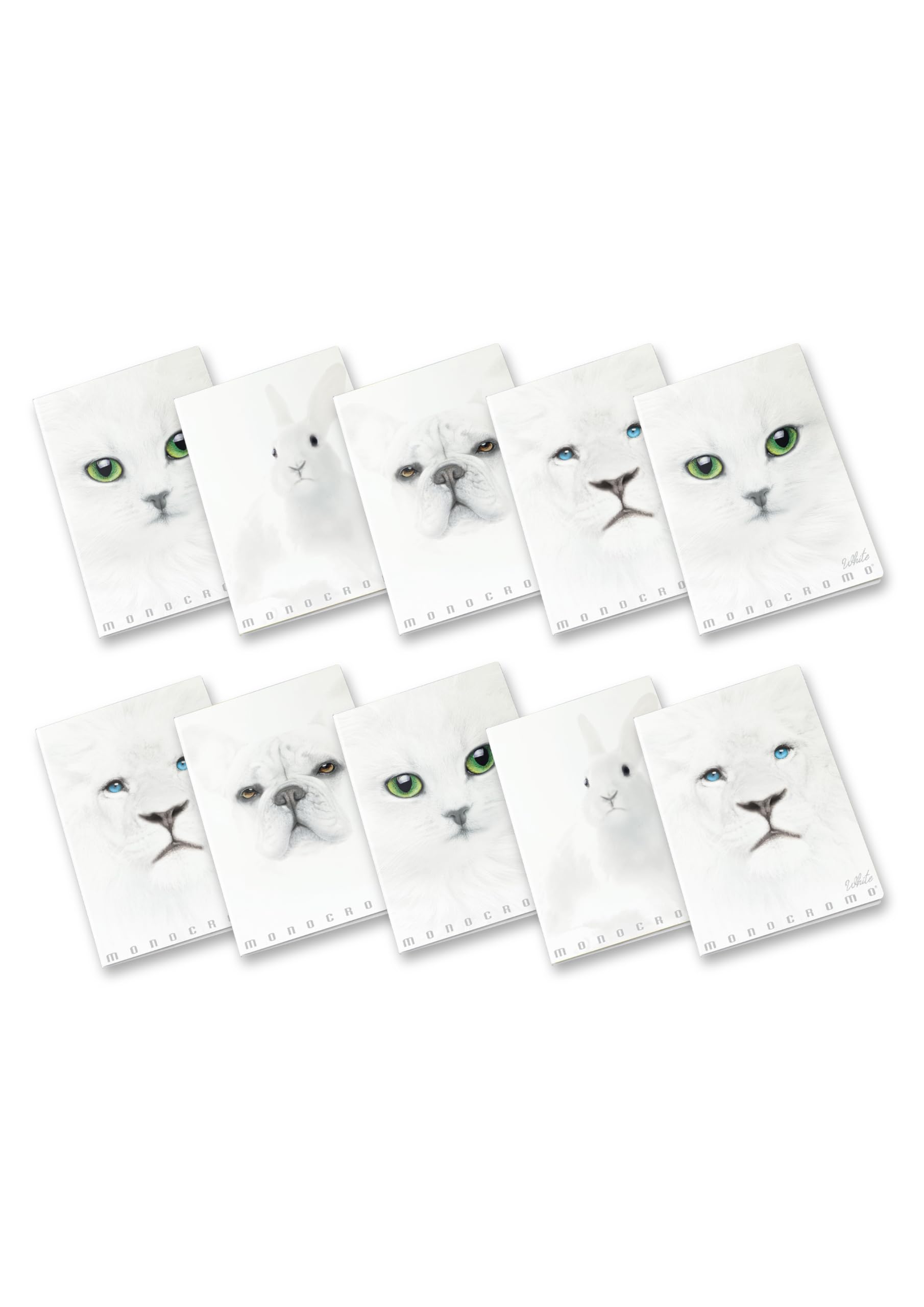 Pigna Monochrome White, Ruled 0B Notebook A4 Paper 100 g/m², Pack of 10 Pieces 02307910B