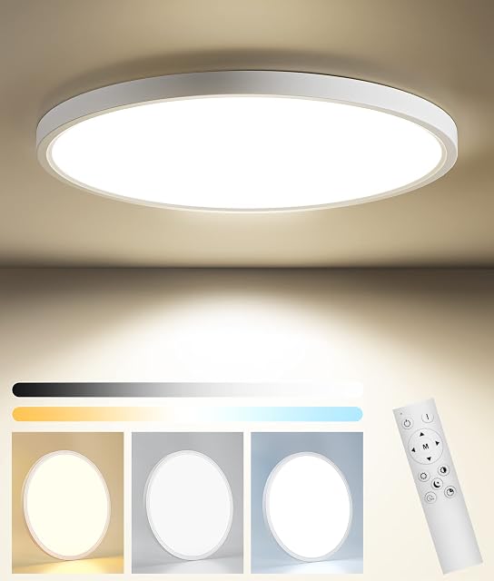 bedee 24W LED Ceiling Light 6500K Daylight 2880lm Office Ceiling Lights 3 Color Dimmable Light 2.4cm Flush Mount Slim LED Smart Ceiling Light with Remote Control for Living Room Bedroom Kitchen Indoor