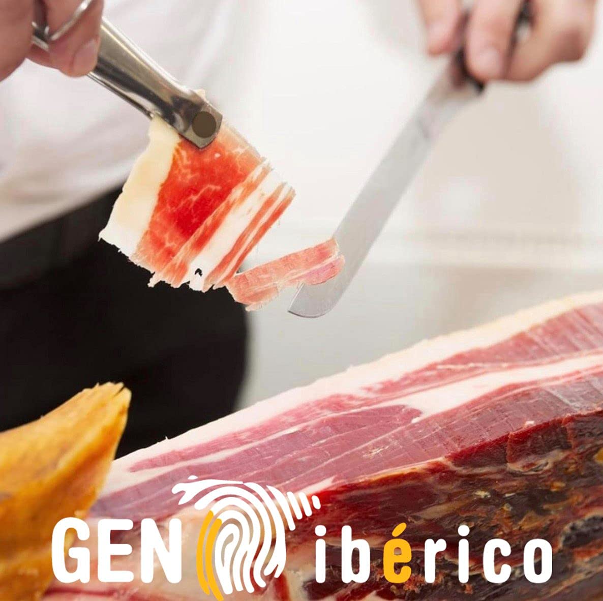 JAMÓN CEBO IBÉRICO (8,5 KG.) PROCEDENTE DE CERDOS IBÉRICOS CRIADOS Y ALIMENTADOS CON PIENSOS EN EXPLOTACIONES INTENSIVAS Y GRANJAS