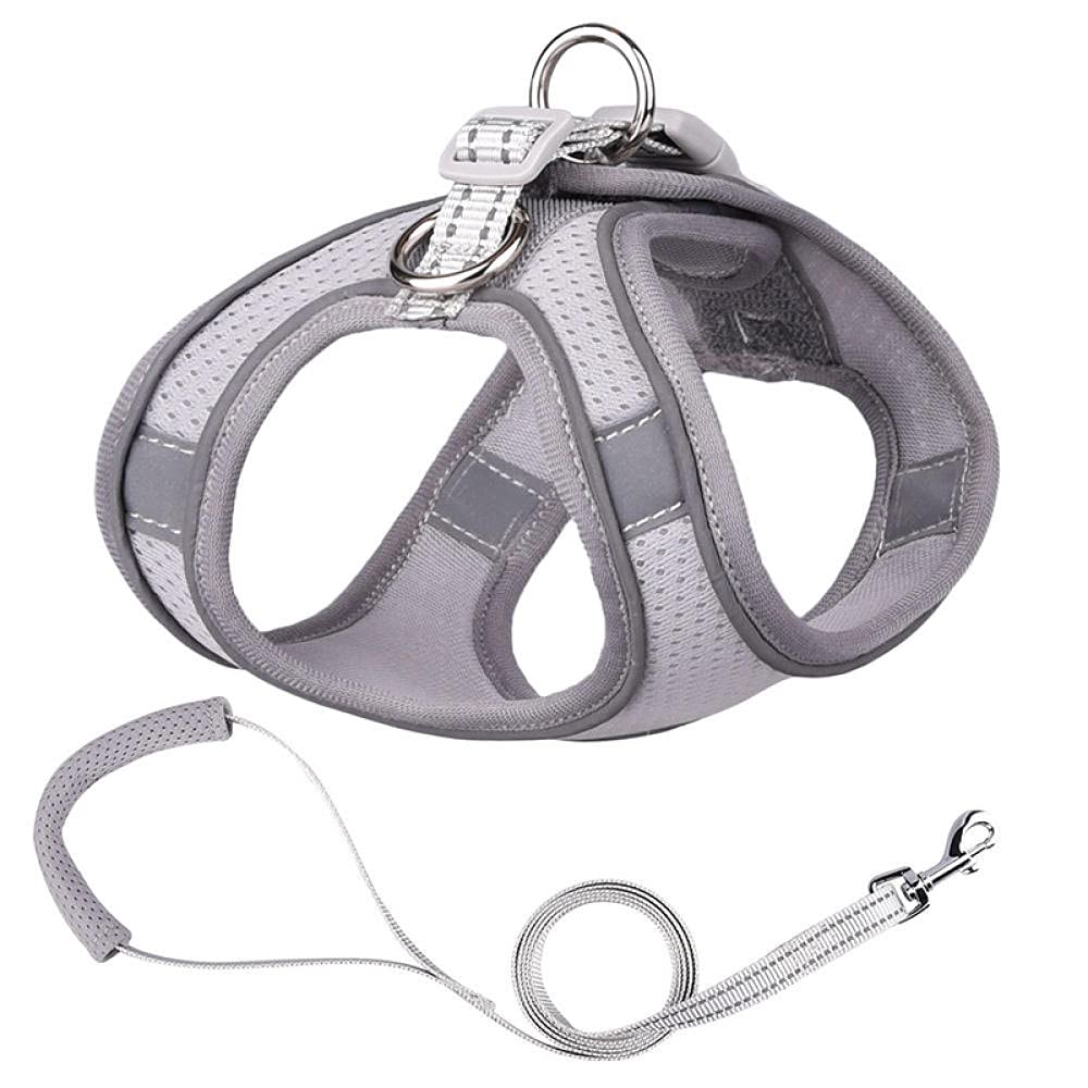 Hundegeschirr， Leine Set Welpen Mesh Harness Weich Gepolsterte Hundeleine Kleine Hunde Katzen Weste Hundezubehör DS(B,XS)