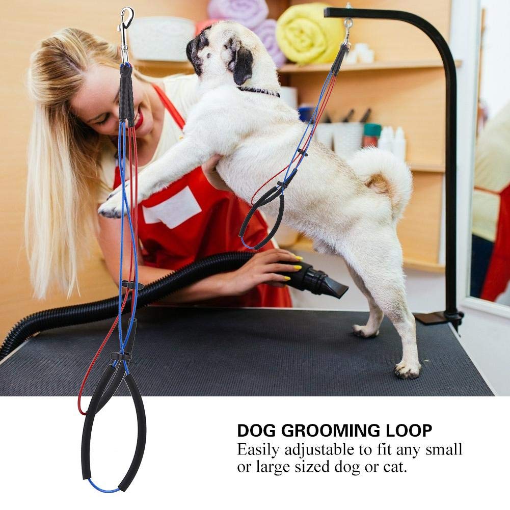 Dog Grooming Loop, Dual Noose NoSit Neck and Haunch Holder Wire Safety