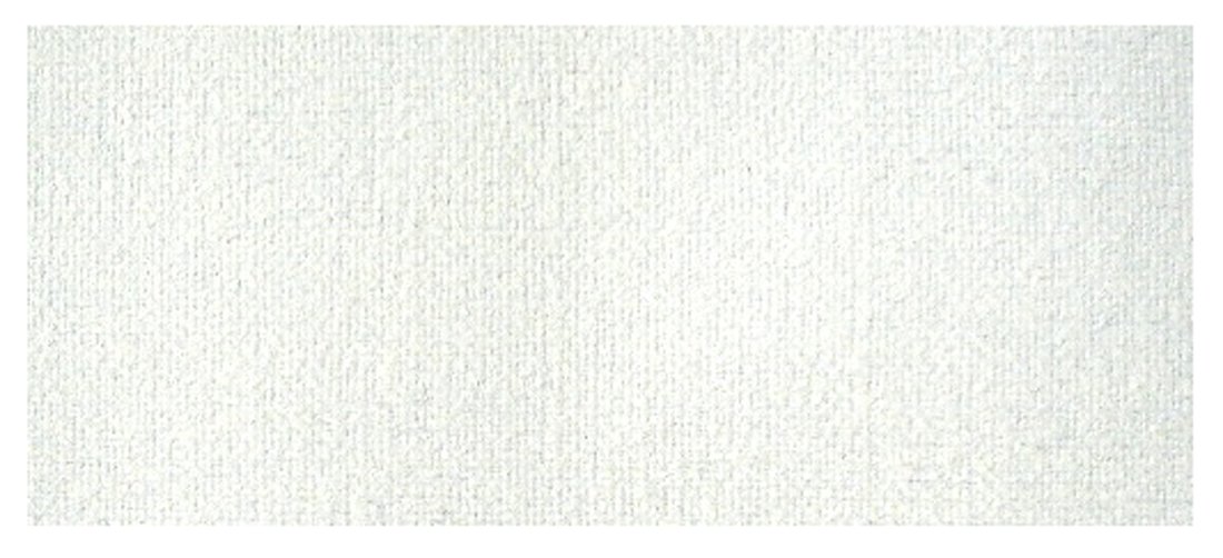 Amazon.co.jp: クレサンジャパン ロールキャンバス オイル キャンバス