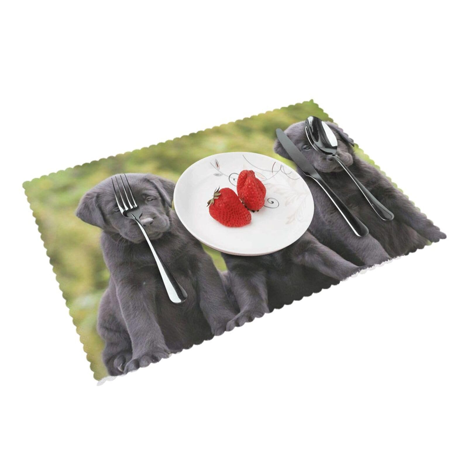 Labrador Retriever Dog Printed Placemats Set of 4 PCS Washable Placemat for Kitchen Table Heat-resistant Table Mats 45x30 CM