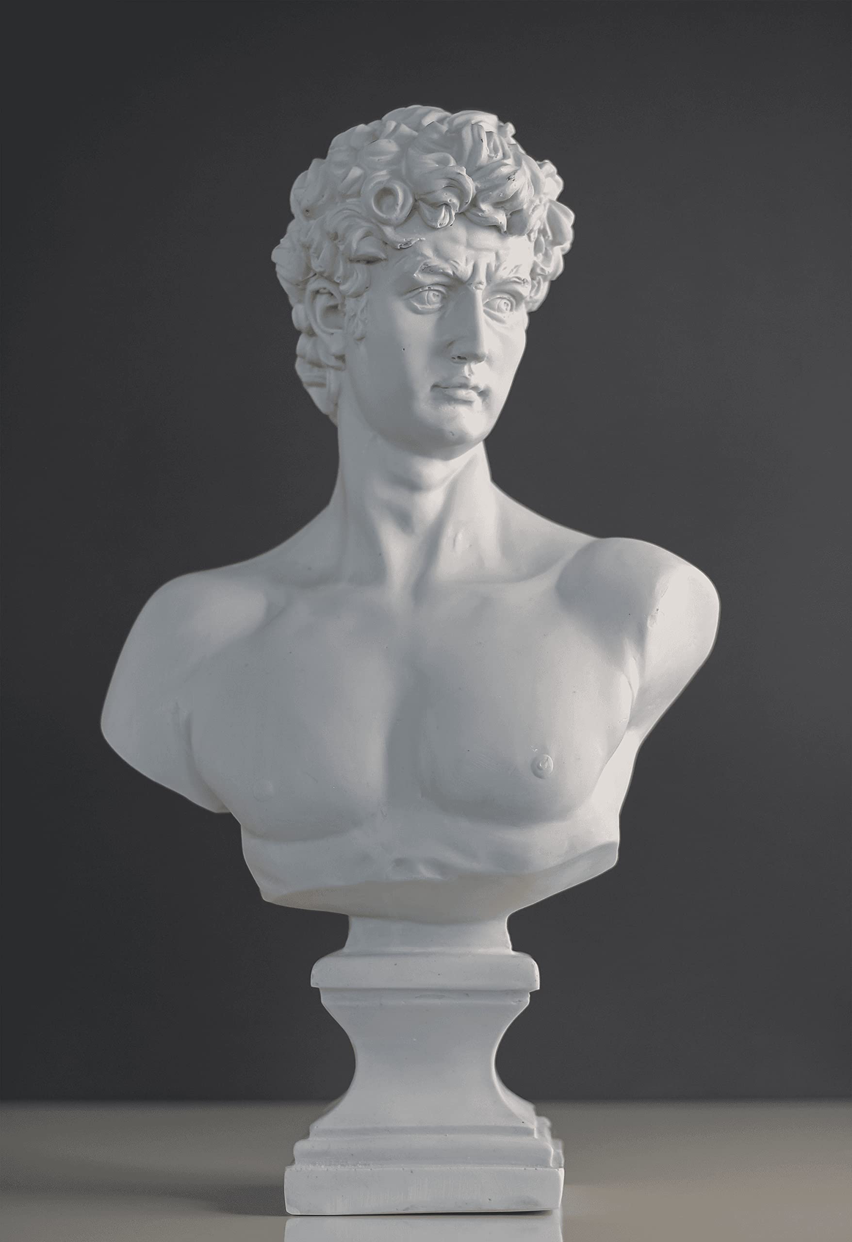 Estatua grande de David, 43,2 cm 42 cm, escultura David, estatua de David, estatua de busto y escultura moderna