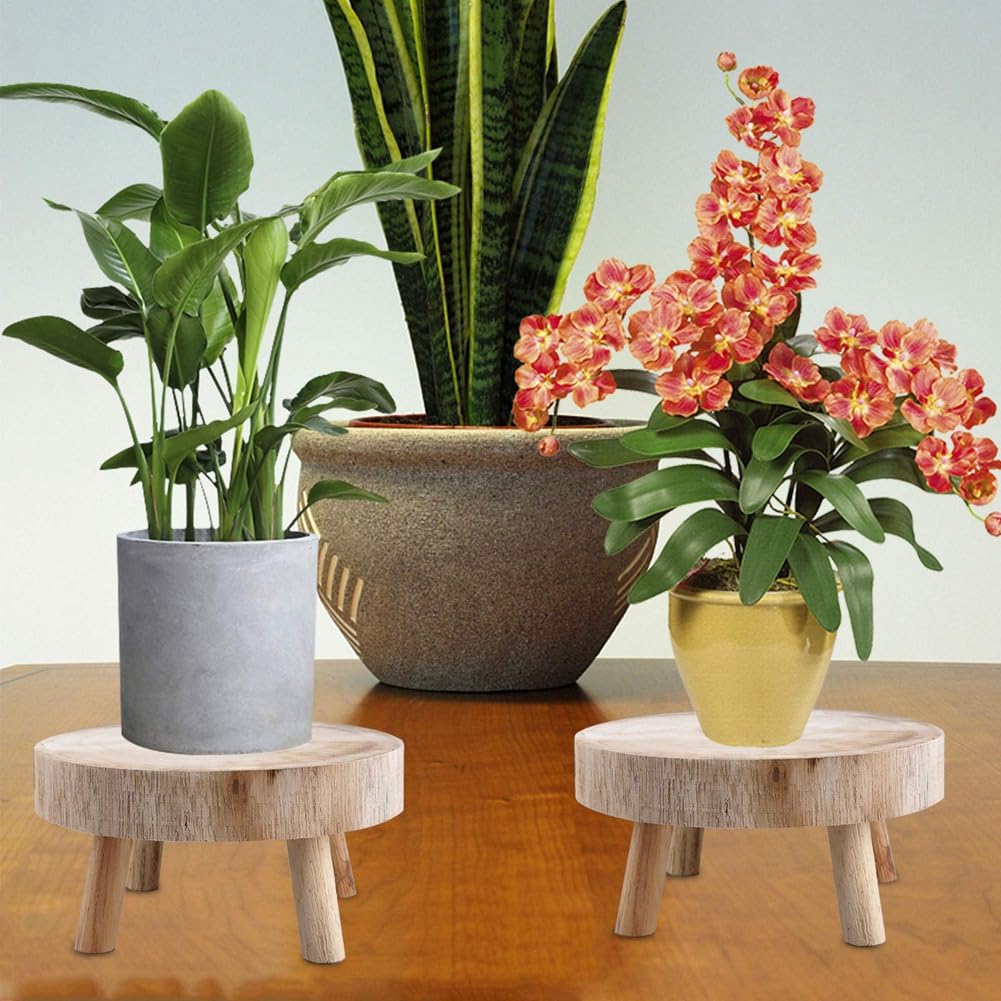 Mini-Holzhocker, Pflanzenständer, Dekorativer -Pflanzenhocker, Bonsai-Halter für Drinnen und Draußen, Haus, Garten, M