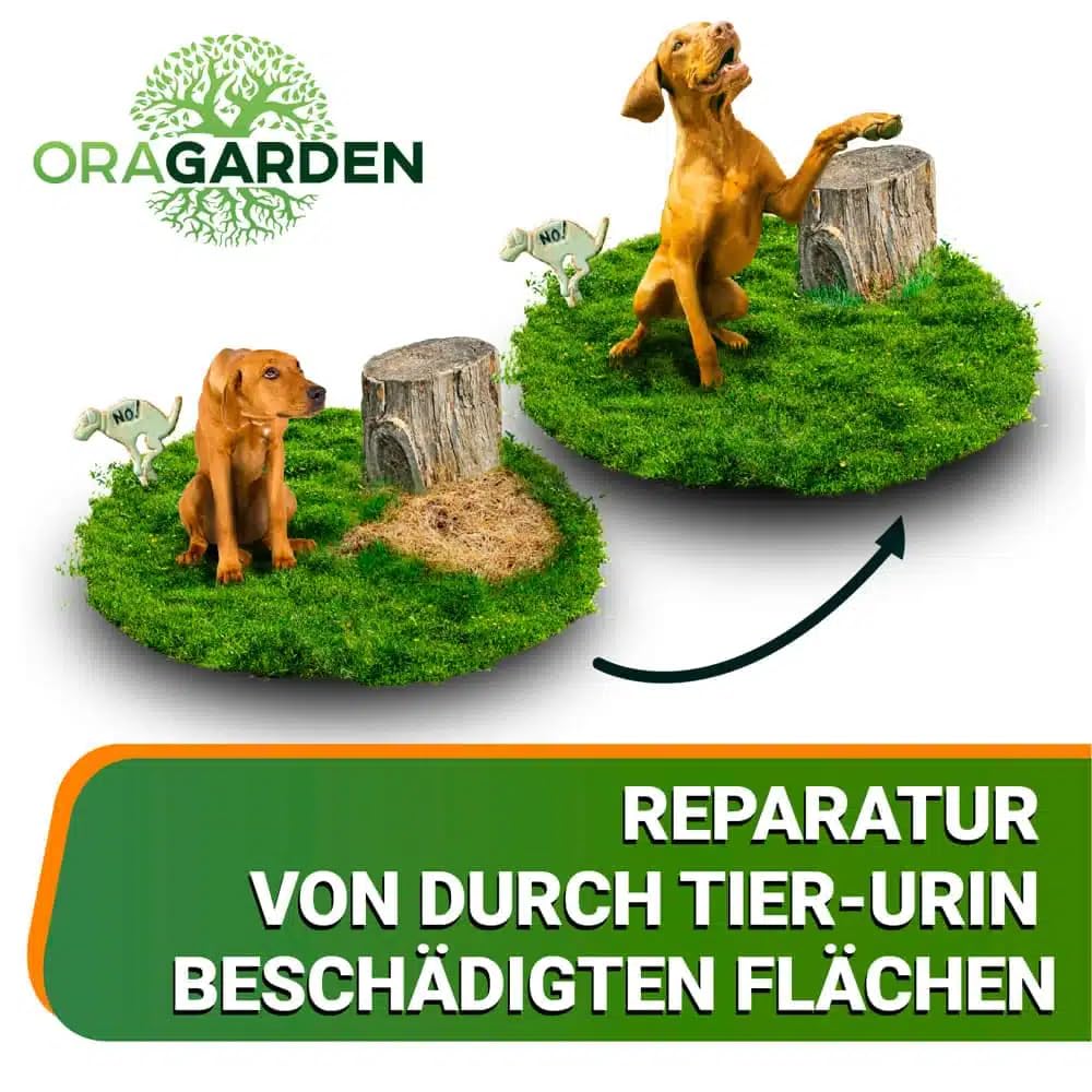ummantelte Rasenpellets Regenerationsrasen für Schnellkeimenden – Rasensamen für Robusten und Widerstandsfähigen Rasen Plus (10 kg)