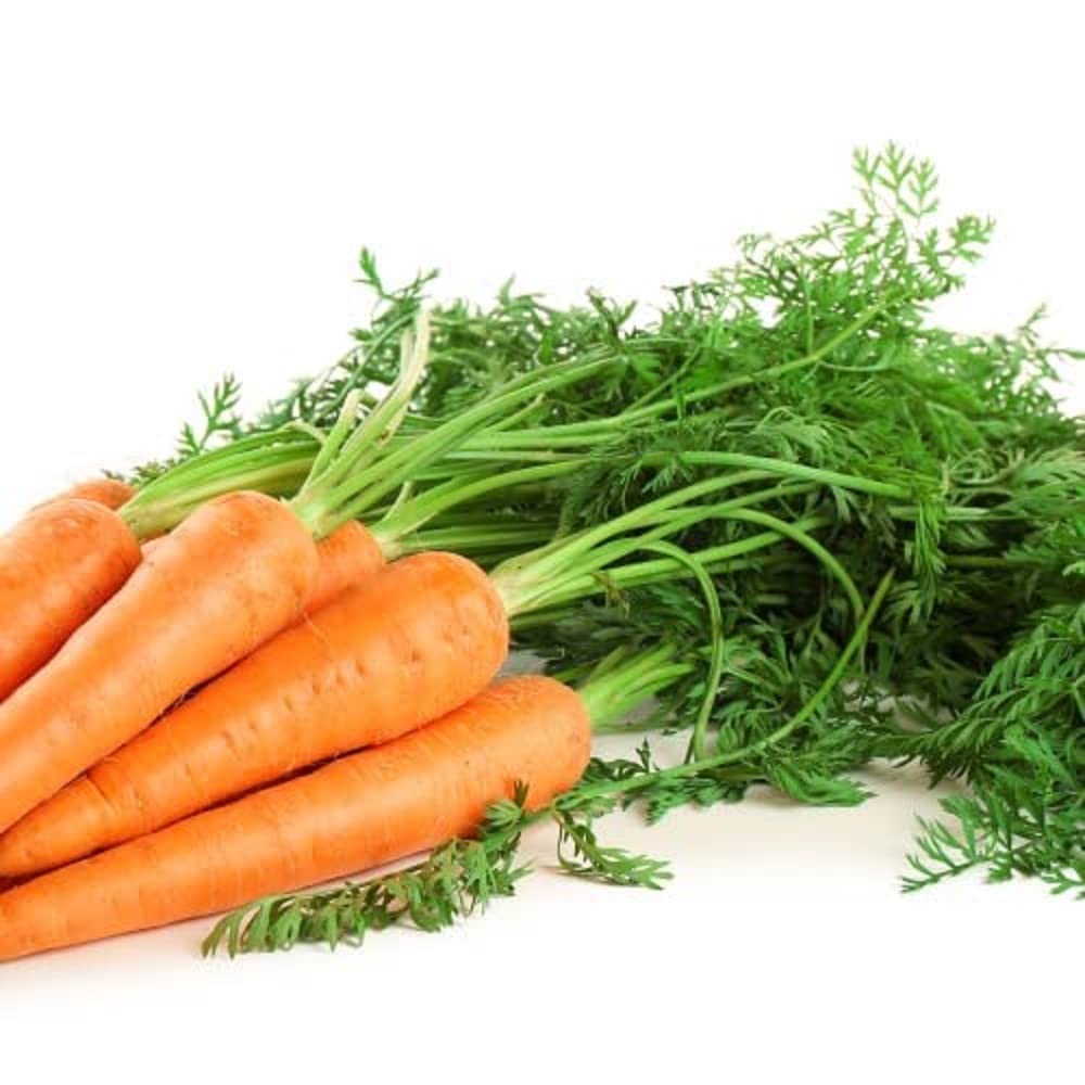 Vegetable Plants, Carrot 'Chantenay', 12 x Full Plug Plant Pack, 36+ Plants (3+ Plants per Plug), Carrot Plants, Garden Ready and Ready to Plant, Premium Quality Carrots