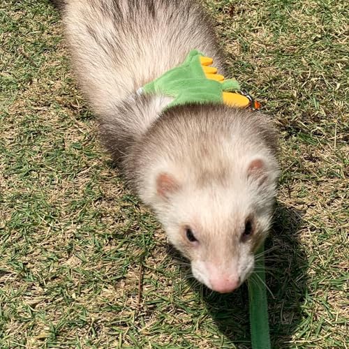 Image of MANON ROSA Ferret Harness and Leash Set Small Animal Clothes Dinosaur Shaped Walking Vest for Baby Rabbit Guinea Pig Bunny Puppy Mouse Pets Teacup Chihuahua (Pink)