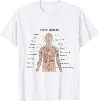 Amazon.com: Human Anatomy Labeled Diagram T-Shirt : Clothing