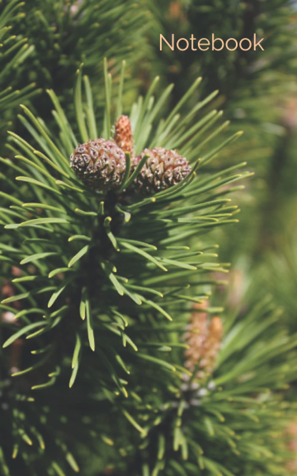 5" x 8" Blank Lined Notebook: Baby Pine Cones