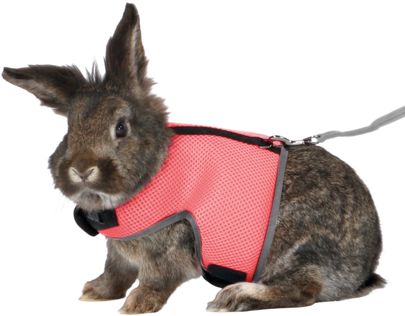 Trixie Soft Harness With Leash For Animals Assorted Colours - 25-40Cm Small
