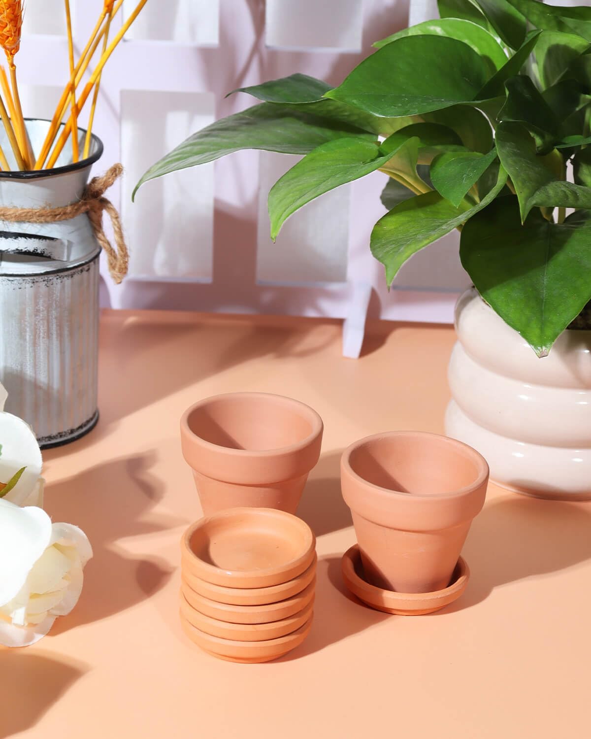 vensovo Plant Pot Saucer Set - Includes 1 Pack 9-Inch Ceramic Plant Saucer and 32 Pack 2-Inch Terracotta Plant Saucer,Perfect for Indoor or Outdoor Use