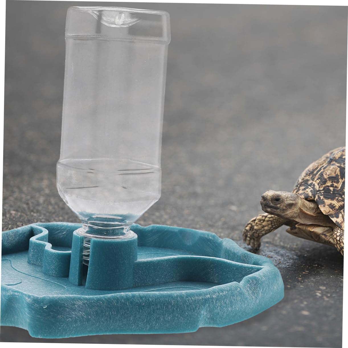 ORFOFE Distributore Automatico D’Acqua 2 Pezzi, Facile da Pulire, Ciotola in ABS, per Rettili e Uccelli, per Tartarughe e Lucertole | Facile da Pulire, Contiene Cibo e Acqua, per Riccio e Piccoli Animali, Ciotola Pratica per Uso Quotidiano