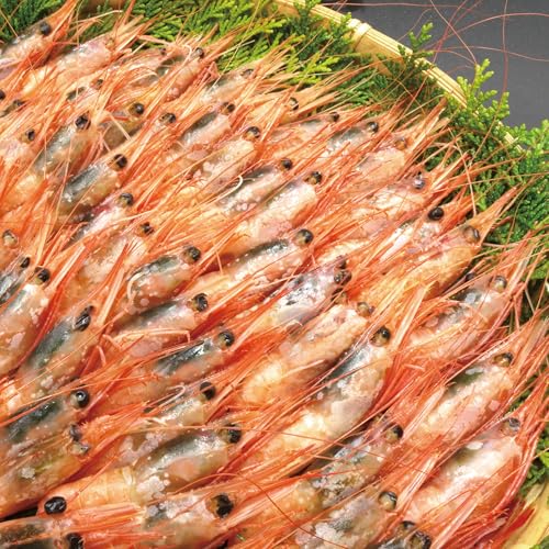 DⓀ hgp ÃGr 1kg 90`120 MTCYyȃTCYł q ̊kꂠzm[uhi