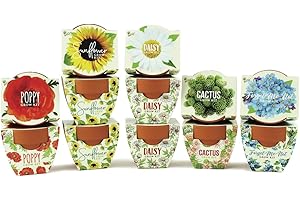 Seeds Terracotta Mini Grow Pots: The Buzziest Grow Kit