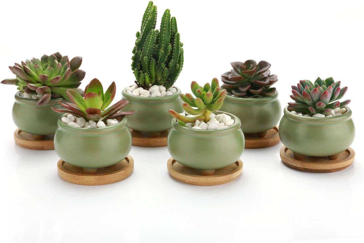 T4U 3 Inch Succulent Planters Pots Ceramic Set of 6, Mini Cactus Planters Clay