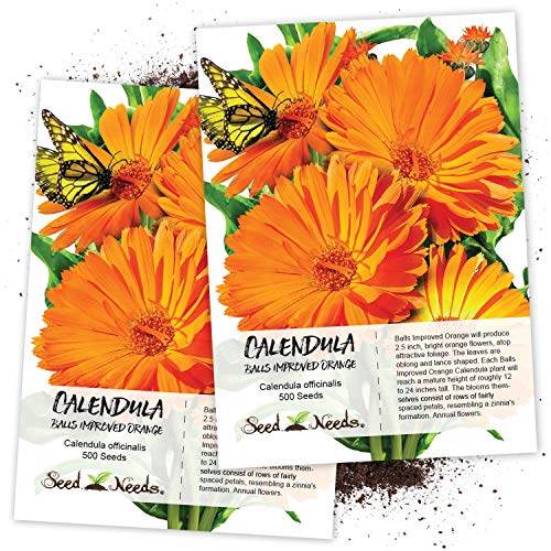 Villa Cappelli's Amazon Page