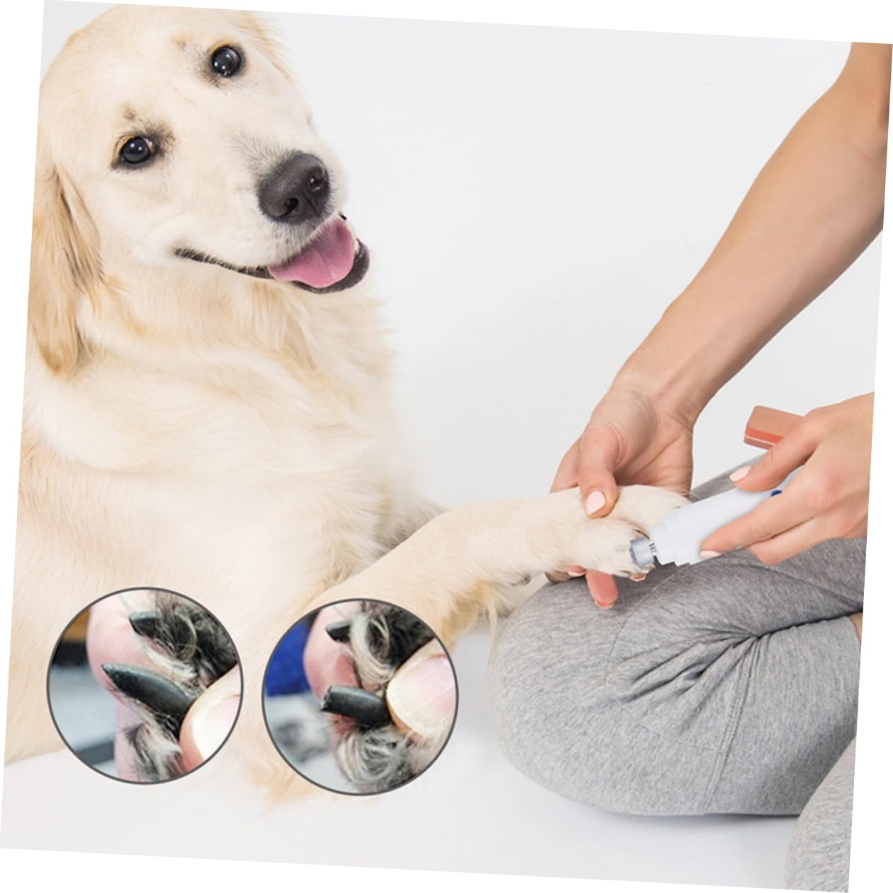 BESPORTBLE 3 Pièces broyeur de Chien électrique Coupe-Ongles Chien pour Grands Chiens broyeur d'ongles pour Animaux de Compagnie Coupe-Ongles électrique pour Animaux de Compagnie
