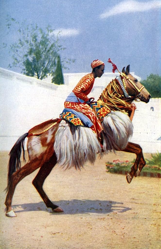 Cuadro de lienzo caballo árabe Udaipur decoración hogar lienzo impreso Herbert Ponting 60x90 5