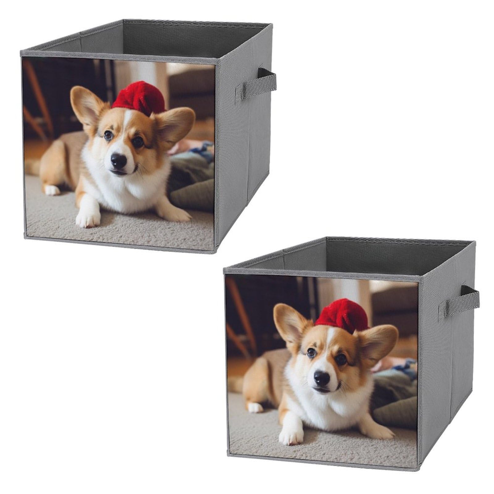 Boîtes de rangement pliables pour vêtements et placards Corgi