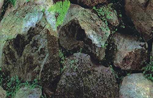 Plantes et rochers MARTY pour aquarium - Décoration plastique et résine