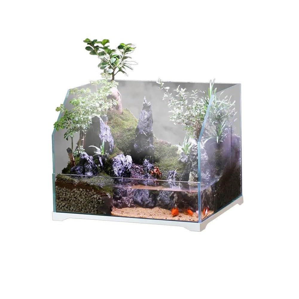 Aquariumline HSJ-600 Paludario in Vetro 60,6x45,6x43,8h cm – Acquario Terrario con Sistema di Filtraggio Integrato, Ideale per Piante, Anfibi e Rettili, Design Moderno e Robusto