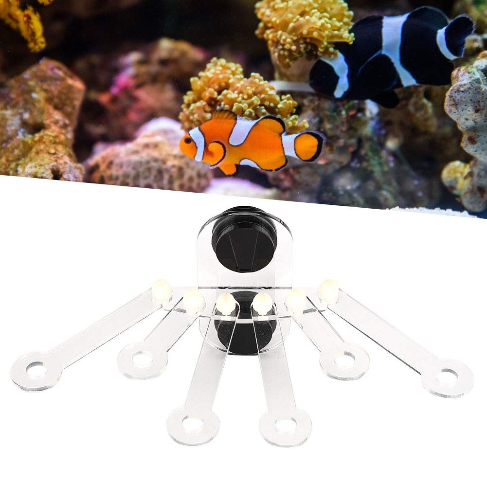 Acquario acrilico Rack Acquario Fish Tank Staffa Rack Staffa di corallo forte magnete per acquari