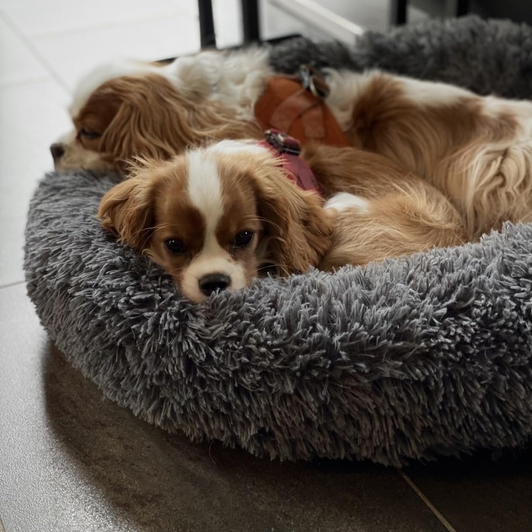hundebett decke Pelsbarn Kuscheldecke – pelsbarn.de