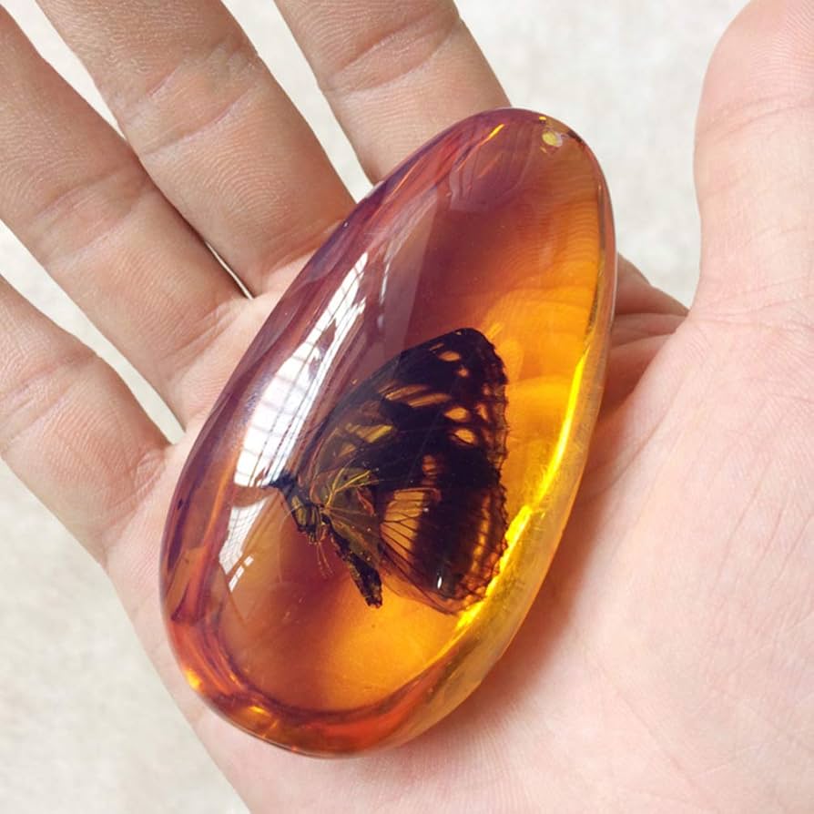 琥珀化石 Amazon | 【化石専門店 LOLO】美品 虫入り琥珀 琥珀 化石 本物