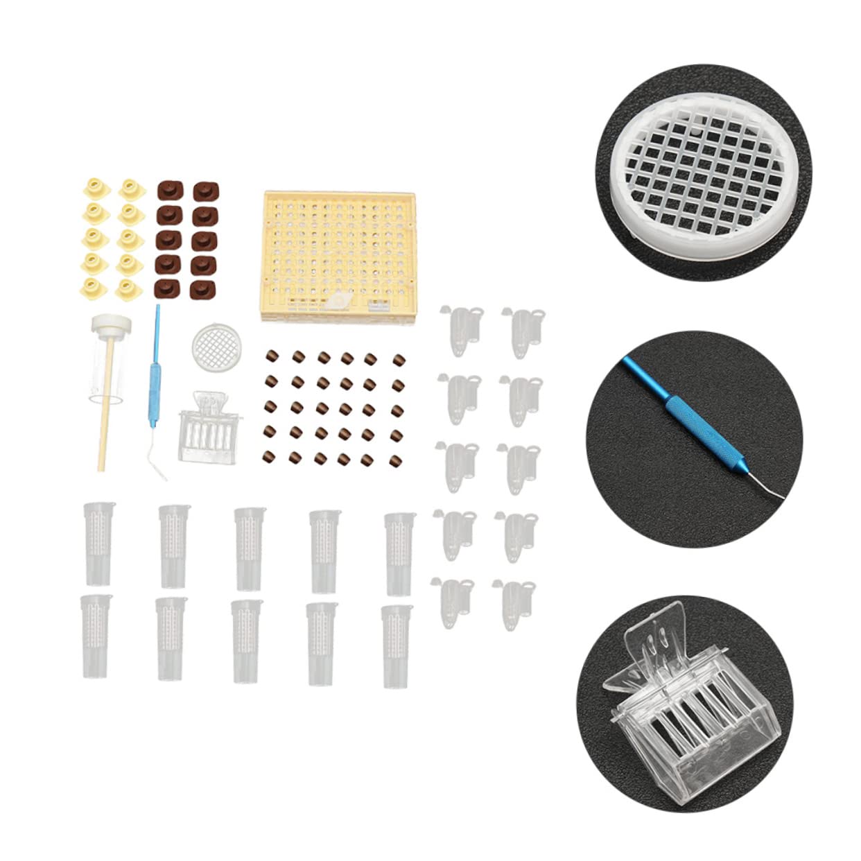 Kit de Cría de Reinas para Apicultura Caja Protectora Abs | Sistema de Cultivo, Uso Sencillo y Práctico, Ligero, para Manejo de Colmenas en Temporada de Reproducción Color Aleatorio