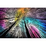 Bgraamiens Puzzle-Forest Under Starry Night-1000 Pieces Gradient Magic Colorful Puzzle for Adult,Hard Challenge Puzzle for Adult