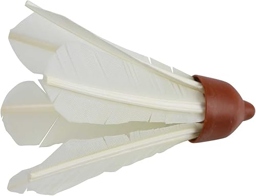 Miniatura 9 de Lifetime 90541 - Juego para voleibol, bádminton con paletas y paletas tipo playa