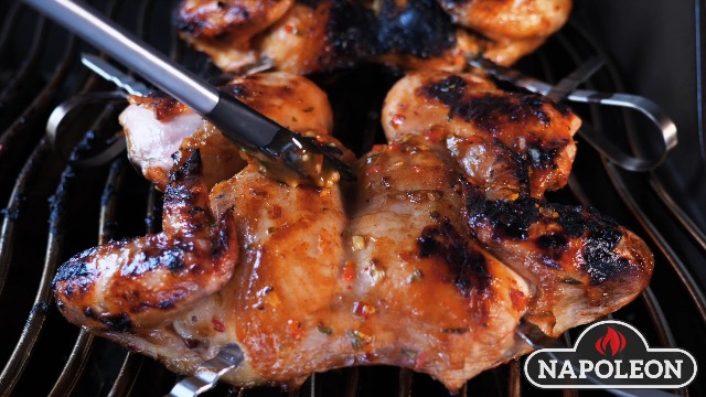 Amazon.com : Napoleon Multifunctional Skewers - Set of 8