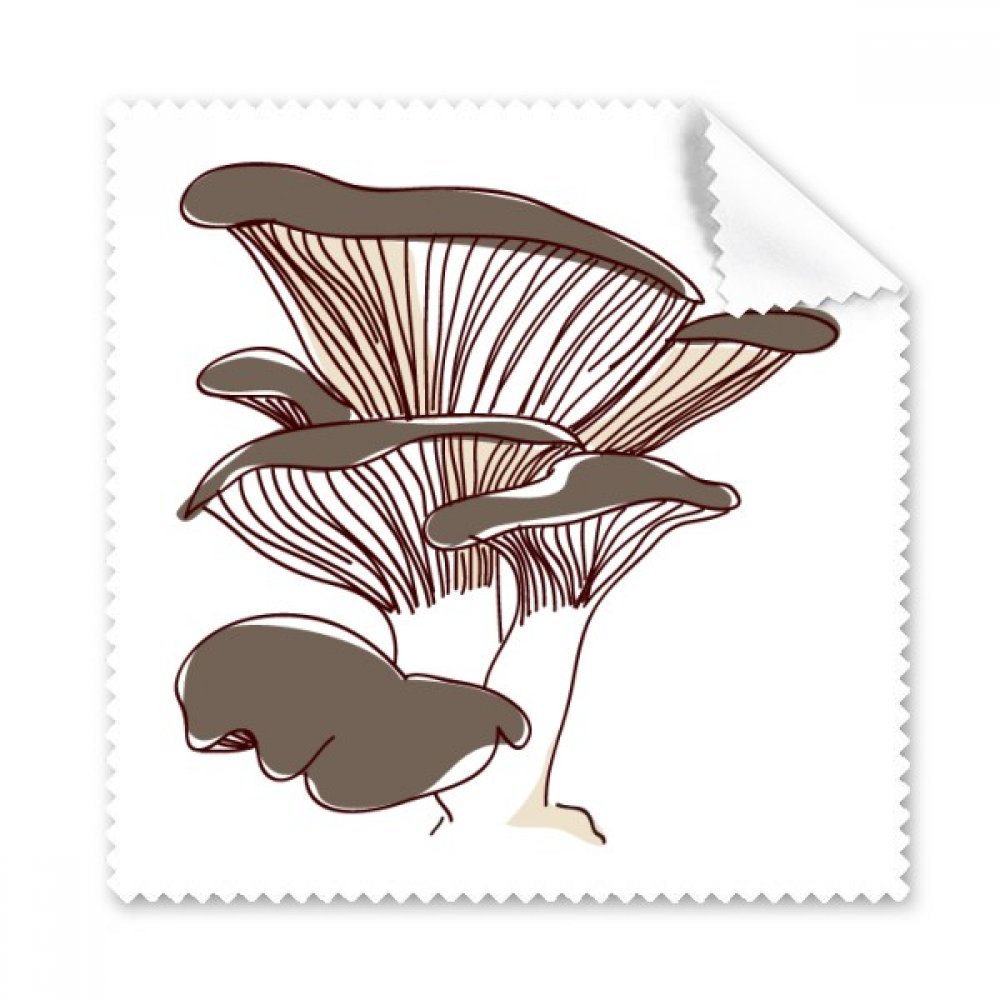 Écran propre sans traces grâce au chiffon de nettoyage champignon - 3