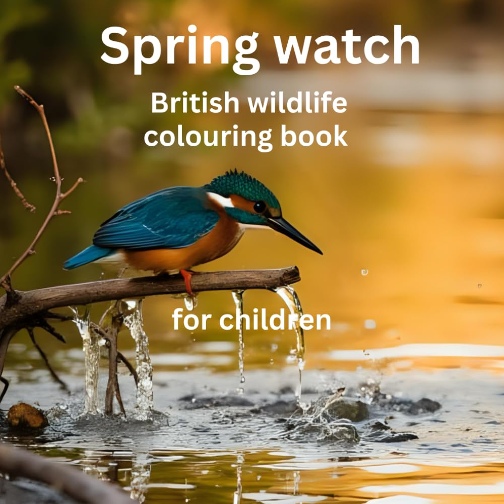 The spring watch British wildlife colouring book for children