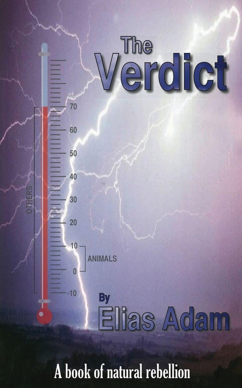 The Verdict