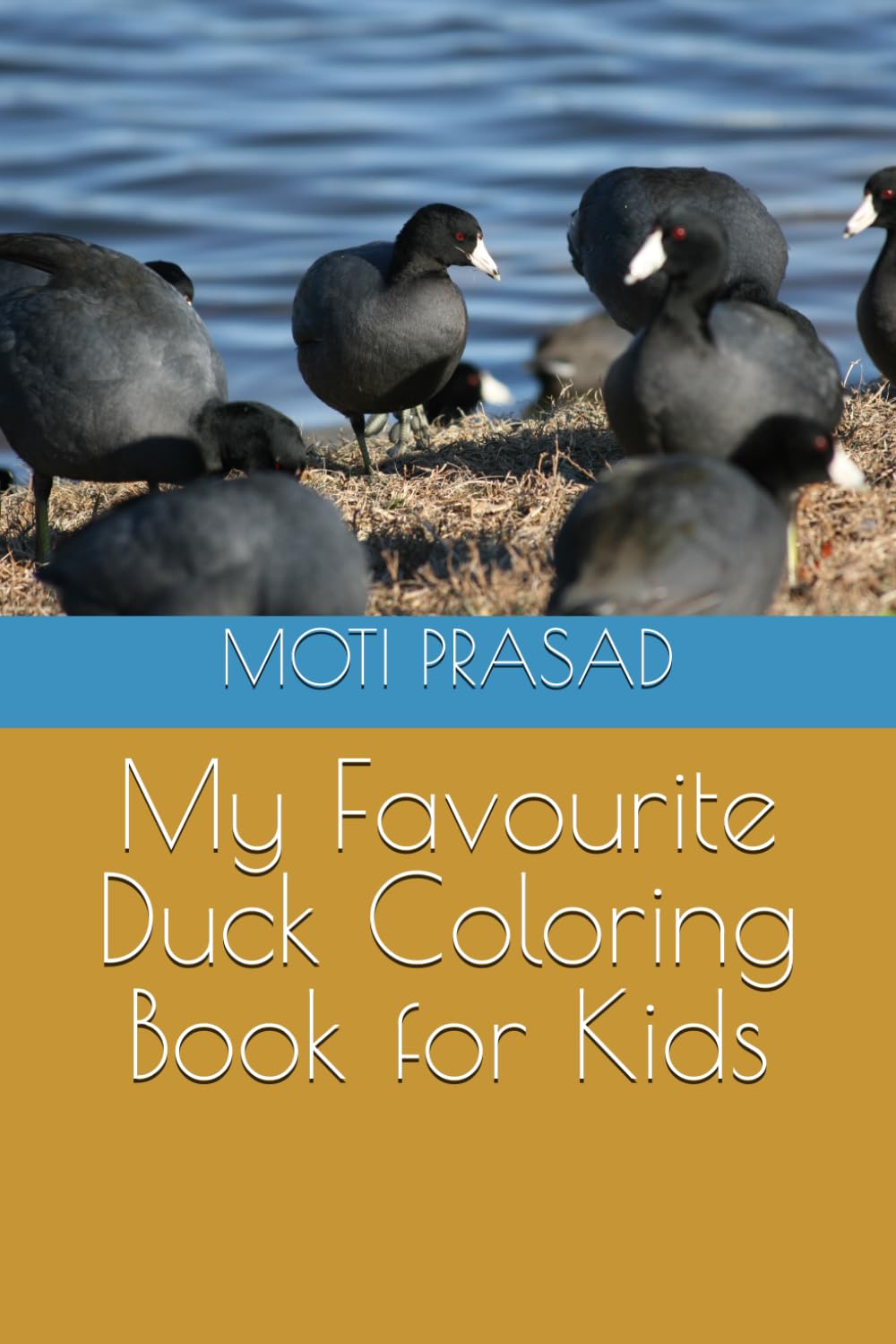 My Favourite Duck Coloring Book for Kids