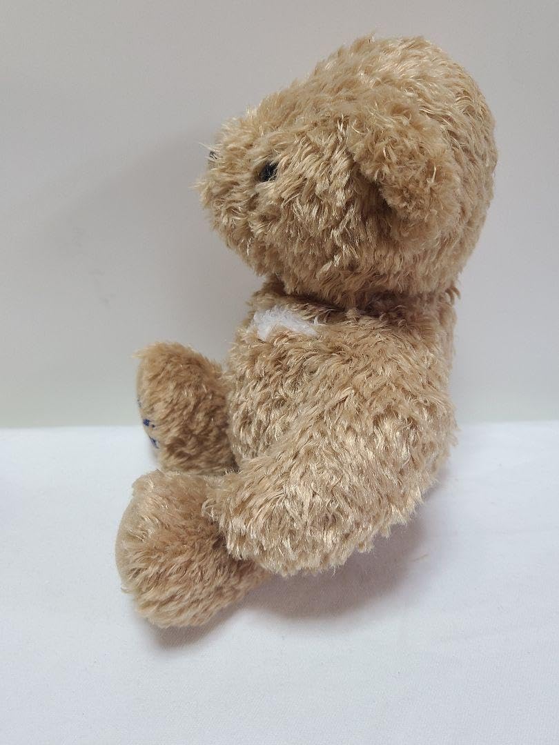 ウルソのテディベア ウルソのテディベア ウルソのテディベア Amazon.co.jp: URSO 50