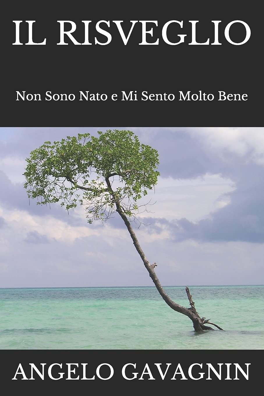 Il Risveglio: Non Sono Nato e Mi Sento Molto Bene