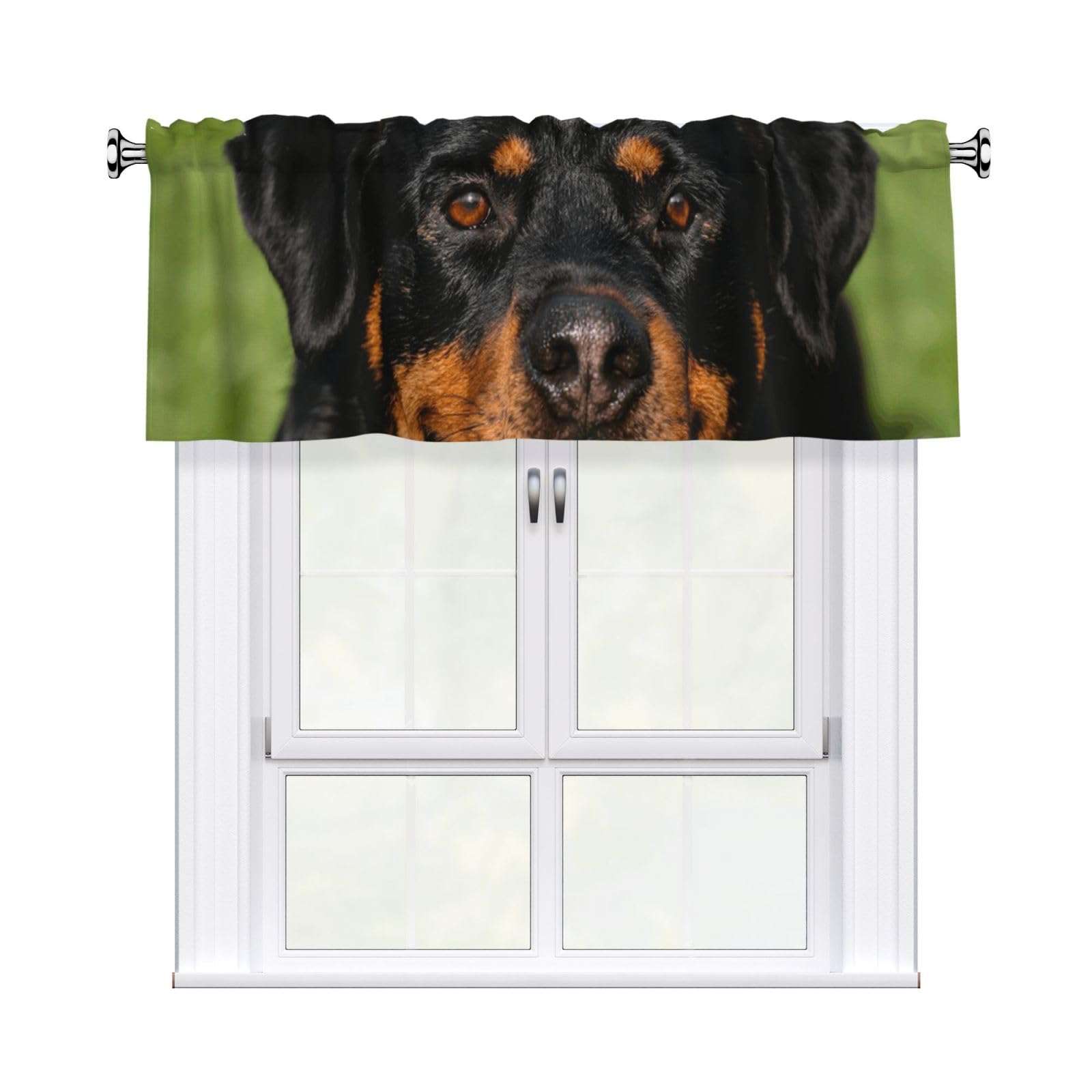 FekiLoot Rottweiler Curtain Valance for Windows, Kitchen Window Valances Rod Pocket Window Treatments Short Curtains Drapes for Bathroom Bedroom Cafe Decor 54x18inch 1 Panel