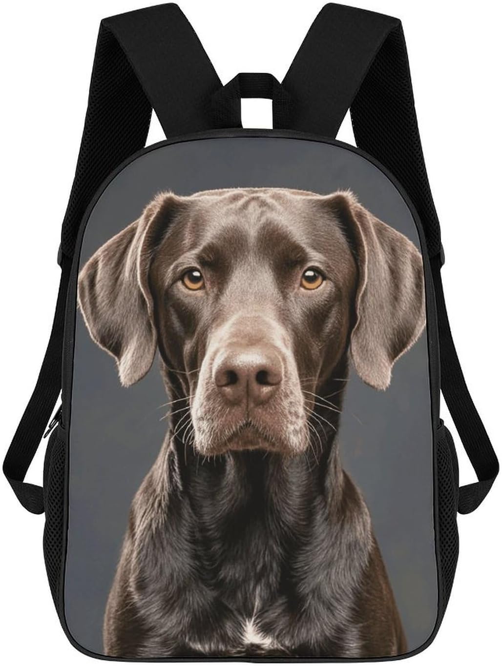 Dalmatian 17 Inch Laptop Backpack, College Bookbag