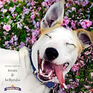 Filler-Free-Duck-Jerky-Sweet-Potato-Twists-Premium-Treats-for-Dogs-48-ounce-bag - Cucciolini Doodles   Filler-Free-Duck-Jerky-Sweet-Potato-Twists-Premium-Treats-for-Dogs-48-ounce-bag